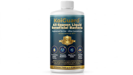 KoiGuard All-Season Liquid Beneficial Bacteria